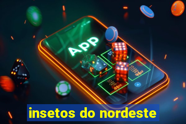 insetos do nordeste