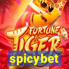 spicybet-1.com